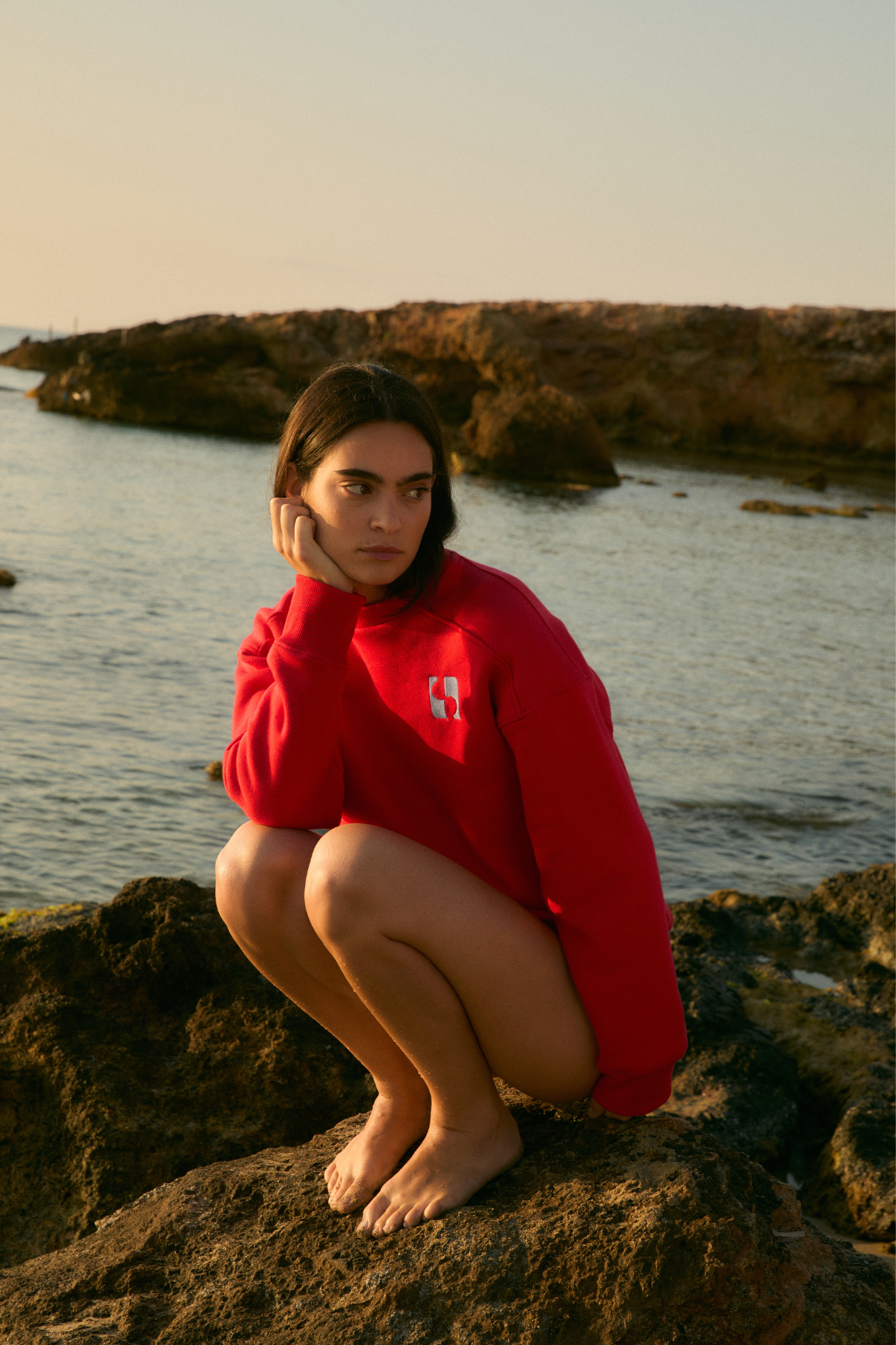SUDADERA ICON FELPA ROJO