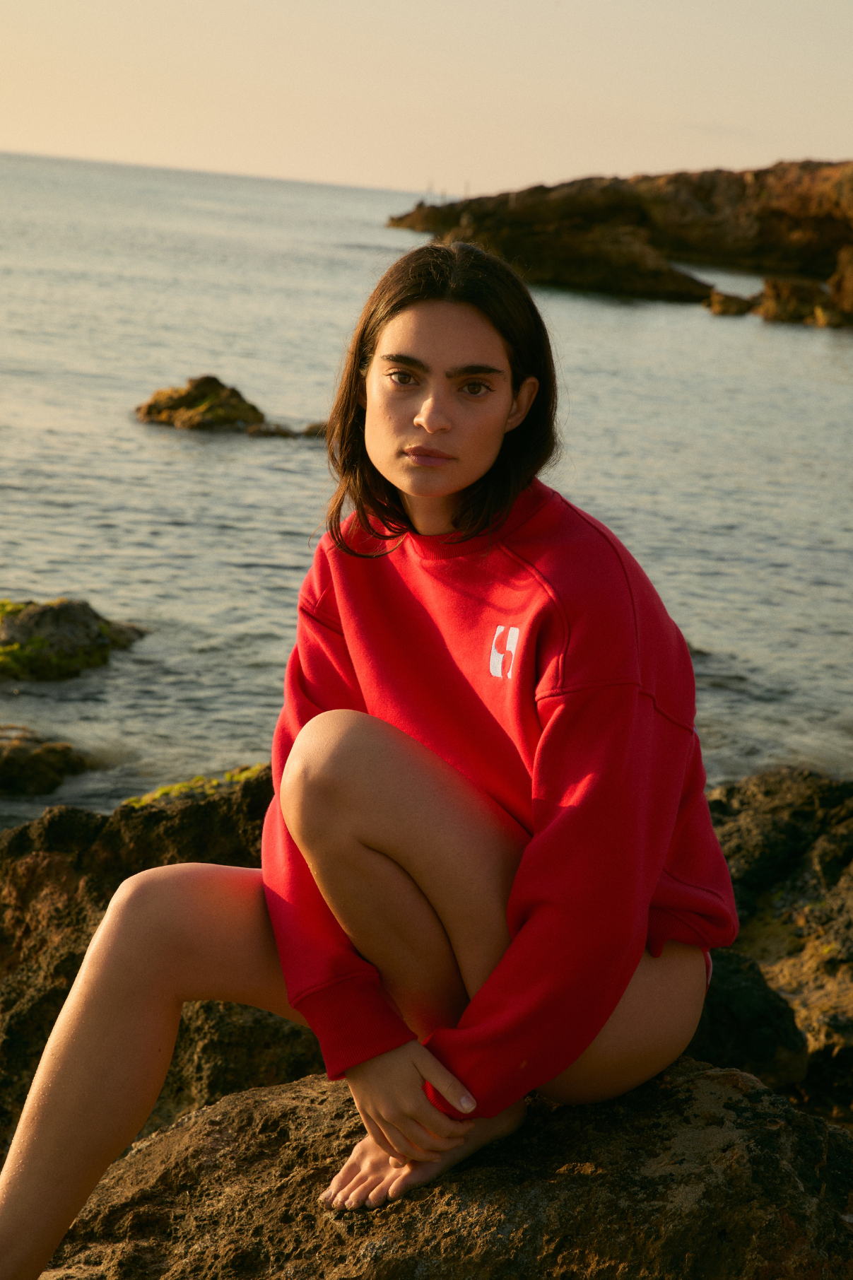 SUDADERA ICON FELPA ROJO