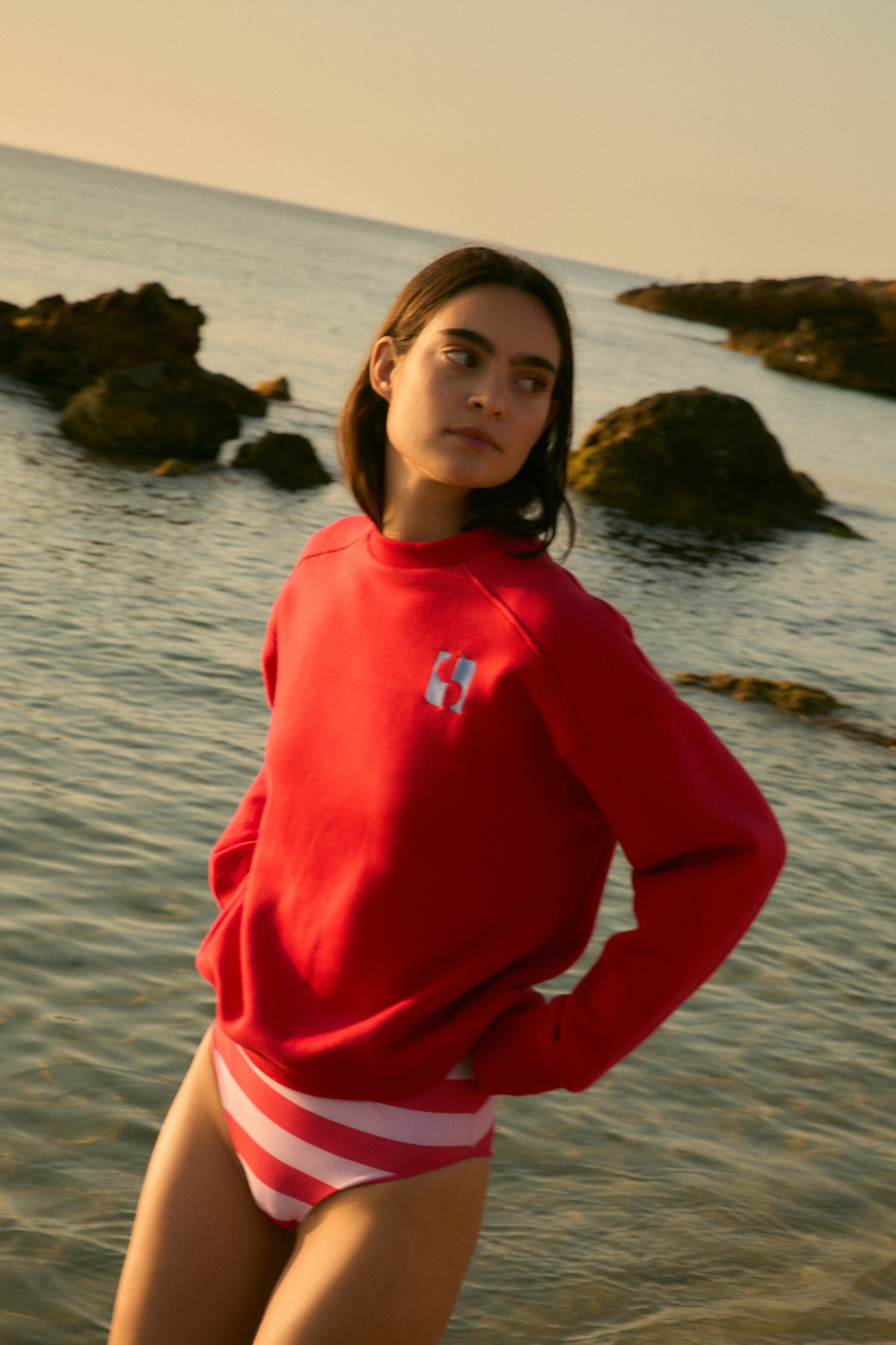 SUDADERA ICON FELPA ROJO